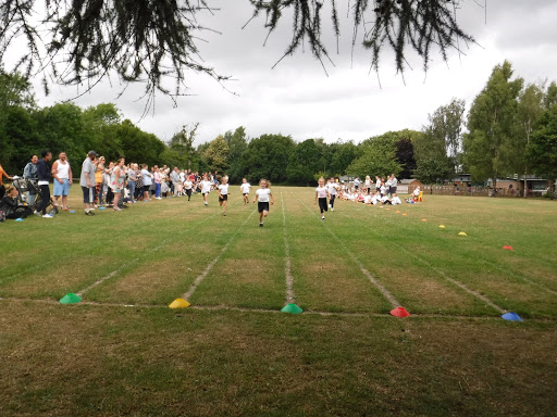 Students are shown running towards the finish line in a running race during PE.