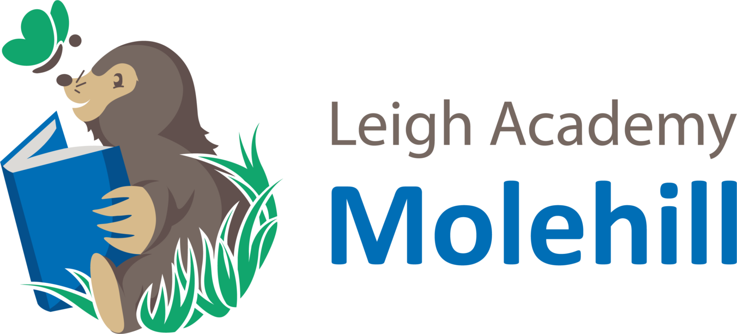 Leigh Academy Molehill